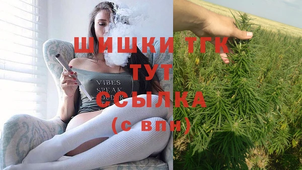 шишки Белоозёрский