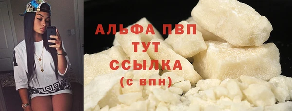 шишки Белоозёрский