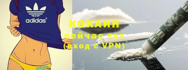 шишки Белоозёрский