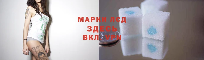 PSILOCYBIN Белокуриха